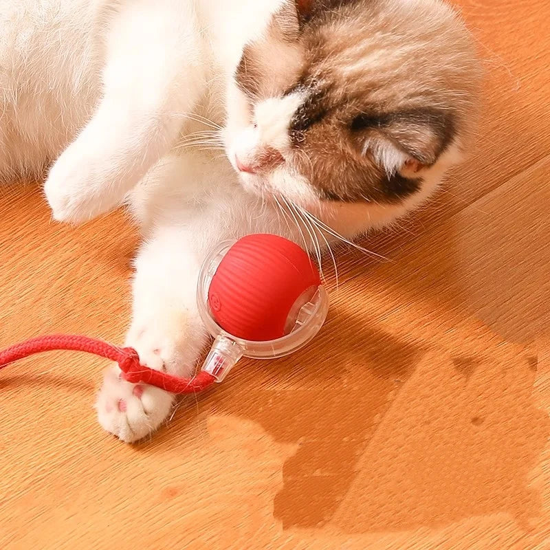 Automatic Electric Cat Ball Toy with Teaser Bird — Smart Sensor, USB Rechargeable