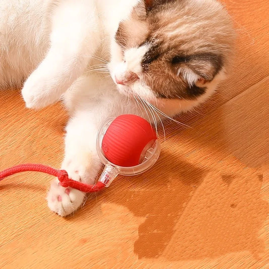Automatic Electric Cat Ball Toy with Teaser Bird — Smart Sensor, USB Rechargeable