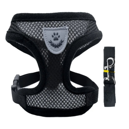 Breathable Pet Chest Harness & Leash — Outdoor Walking Strap for Dogs & Cats