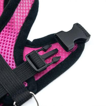 Breathable Pet Chest Harness & Leash — Outdoor Walking Strap for Dogs & Cats