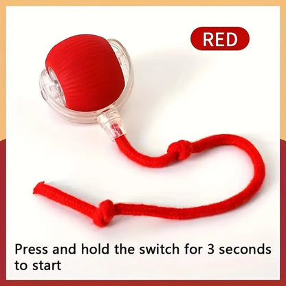 Automatic Electric Cat Ball Toy with Teaser Bird — Smart Sensor, USB Rechargeable