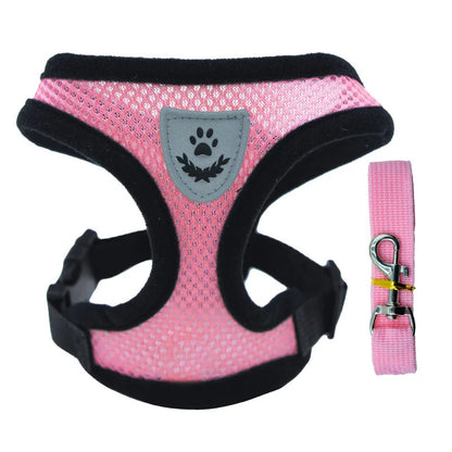 Breathable Pet Chest Harness & Leash — Outdoor Walking Strap for Dogs & Cats